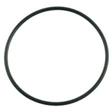 Tagelus Clamp Valve O-Ring 30"