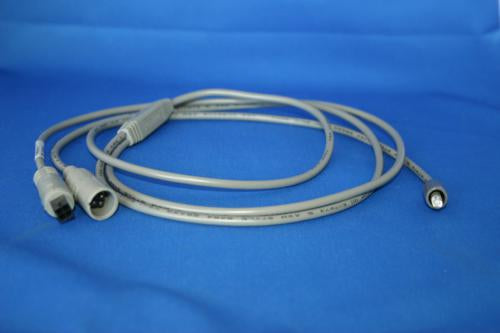 LED Light 1 Strand