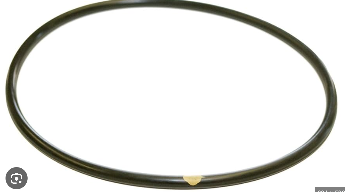 Chlorinator Lid O-Ring (Rubber)
