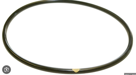 Chlorinator Lid O-Ring (Rubber)
