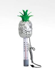 Life Spa Chrome Thermometer-Pineapple