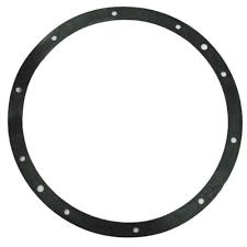 Pentair 10 Hole Gasket